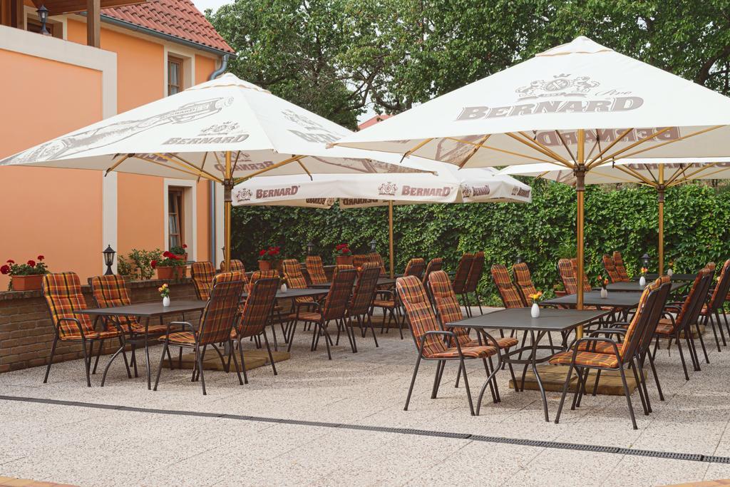 Hotel Pavlov Extérieur photo